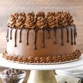 Dutch Chocolate Drip Cake
